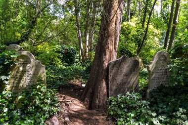 Stoke Newington 'daki eski mezarlık - Londra, İngiltere