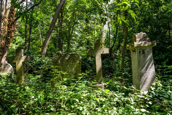 Stary Cmentarz Stoke Newington Londyn Wielka Brytania — Zdjęcie stockowe