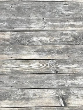 Beautiful structure of old tree with bitches and veins