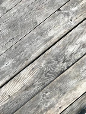 Beautiful structure of old tree with bitches and veins