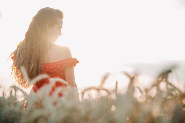 Красивая девушка в красном платье и в полосатой шляпе позирует на пшеничном поле — стоковое фото
