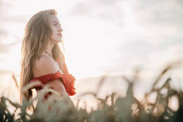 Schöne Mädchen in rotem Kleid und gestreiftem Hut posiert in einem Weizenfeld — Stockfoto