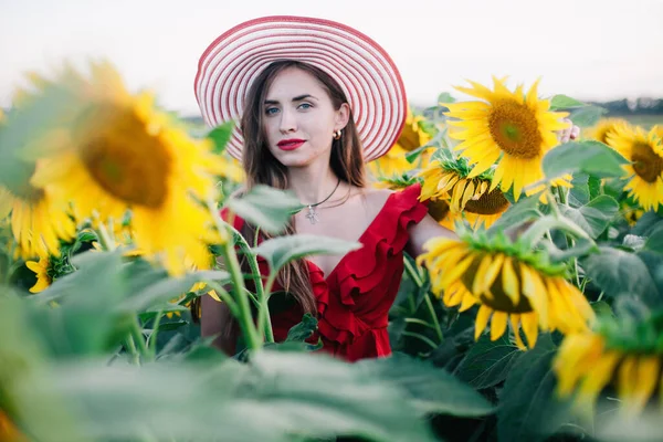 Una joven esbelta con un vestido rojo posa en un campo de girasoles — Foto de Stock