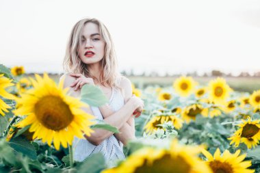 Beyaz tişörtlü genç, narin kız güneş batarken ayçiçeği tarlasında poz veriyor.