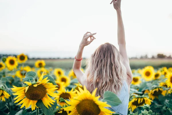 Chica joven y delgada con una camiseta blanca posa al atardecer en un campo de girasoles —  Fotos de Stock