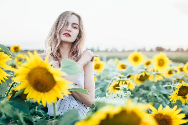 Young, slender girl in a white T-shirt poses at sunset in a field of sunflowers — Stock Photo, Image