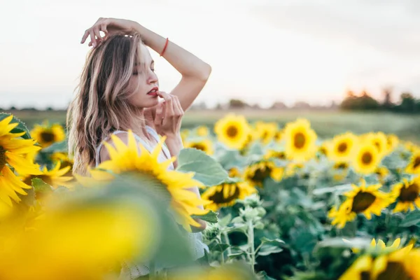 Chica joven y delgada con una camiseta blanca posa al atardecer en un campo de girasoles —  Fotos de Stock