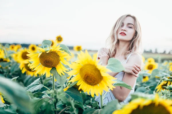 Chica joven y delgada con una camiseta blanca posa al atardecer en un campo de girasoles —  Fotos de Stock