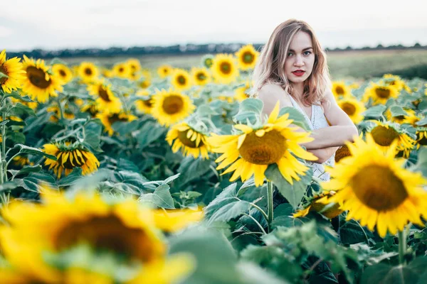 Chica joven y delgada con una camiseta blanca posa al atardecer en un campo de girasoles — Foto de Stock