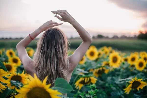 Joven, esbelta chica en topless posa al atardecer en un campo de girasoles —  Fotos de Stock