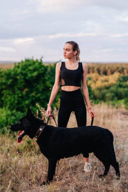Gün batımında genç ve narin bir kız çoban köpeğiyle oynuyor.