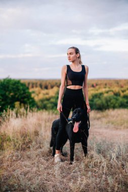 Gün batımında genç ve narin bir kız çoban köpeğiyle oynuyor.