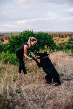 Gün batımında genç ve narin bir kız çoban köpeğiyle oynuyor.