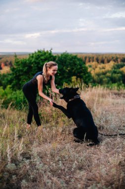 Gün batımında genç ve narin bir kız çoban köpeğiyle oynuyor.