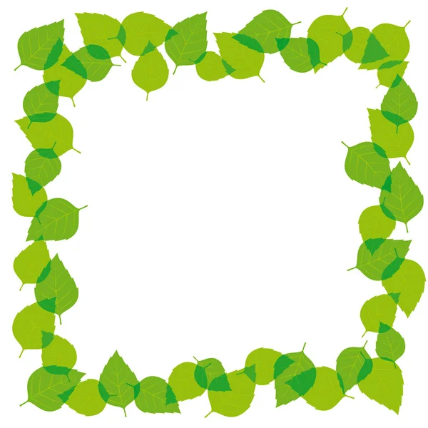 Vector Vierkante Groene Frame Met Bladeren Geïsoleerd Witte Achtergrond — Stockvector
