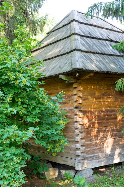 Corner Old Wooden House Lush Greenery Taken Sunny Summer Day — Stock Photo, Image