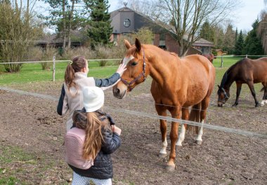 İki kız onlara gelen bir at inme