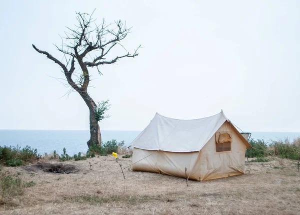 Tent on the seashore, on a cliff, near a dry tree, and the horizon of the sea in the background — Stock Photo, Image