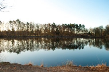 Gün doğumunda arka planda gökyüzünün mavi renkli sessiz bir gölet ağaçların Ayna yansıması