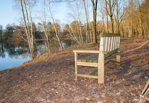 Banco de lago na floresta ao nascer do sol com a cor azul do céu no fundo — Fotografia de Stock