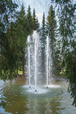 Almanya 'da parkta küçük bir çeşme