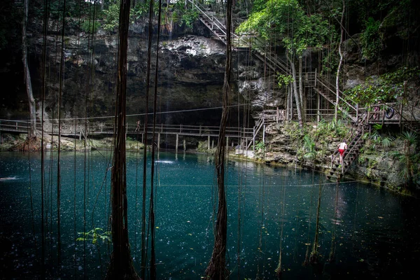 Cenote México Paisagem Vista Belo Cenote México — Fotografia de Stock