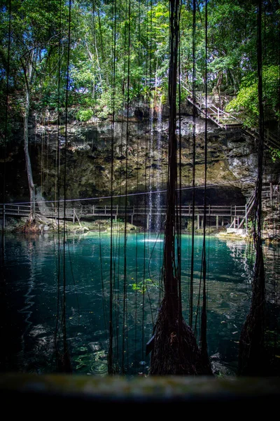 Cenote Mexiko Landskap Landskap Utsikt Över Den Vackra Cenote Mexiko — Stockfoto