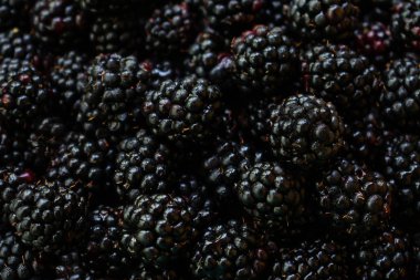 Böğürtlen den yapılmış arka plan