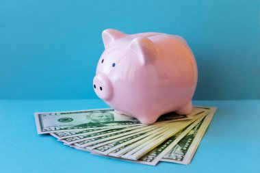 Para tasarrufu ve bütçeleme kavramı olarak Piggy banka