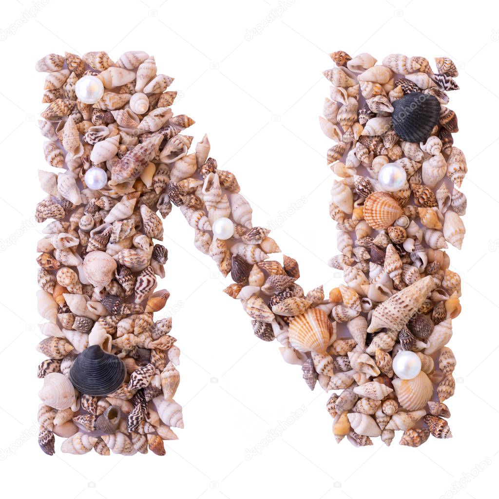 Letter N made of tiny seashells. Isolated.