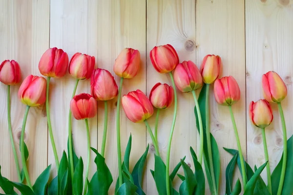 Красные Тюльпаны Один Другим Деревянном Фоне Красивые Тюльпаны Рядом Бежевым — стоковое фото