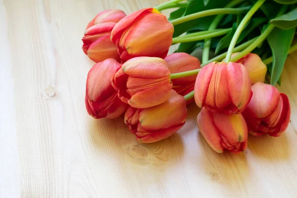 Ramo Tulipanes Esquina Derecha Sobre Fondo Madera Blanca Vista Superior —  Fotos de Stock
