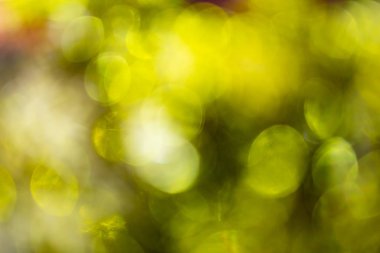 Bulanık Parıltılardan yapılmış arka plan