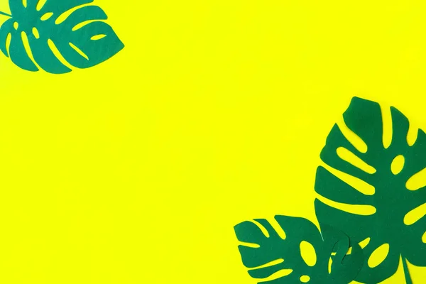 Monstera kopya alanı ile yaprakları yapılmış yaratıcı düzen 