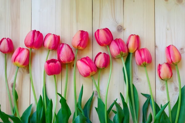 Красные Тюльпаны Один Другим Деревянном Фоне Красивые Тюльпаны Рядом Бежевым — стоковое фото