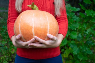 Genç kız büyük bir portakal balkabağı tutuyor