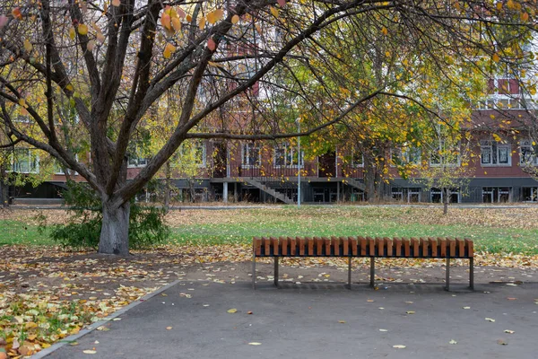Empty bench under the tree at fall time in the park. Conceptof loneliness