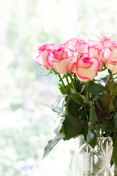 Freshly cut pink roses with dark green leaves in a cut-glass vase on white windowsill. Vertical format.