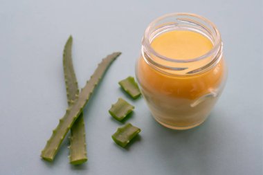 Soluk yeşil arkaplandaki aloe vera bitkisiyle bir kavanoz nemlendirici krem. Yumuşak kremi organik nemlendirici olarak canlandırıyor. Boşluğu kopyala
