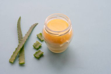 Soluk yeşil arkaplandaki aloe vera bitkisiyle bir kavanoz nemlendirici krem. Yumuşak kremi organik nemlendirici olarak canlandırıyor. Boşluğu kopyala