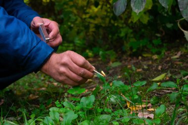 Kundakçı ormanda yangın çıkarıyor.