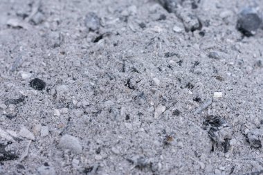 Bahçede kireç ve potasyum kaynağı olarak yanmış odun külleri hasat için..