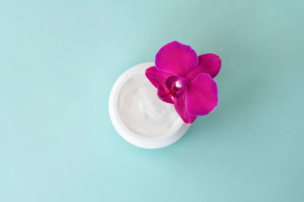 Cream White Jar Mint Background Beautiful Bright Magenta Orchid Flowers — Stock Photo, Image