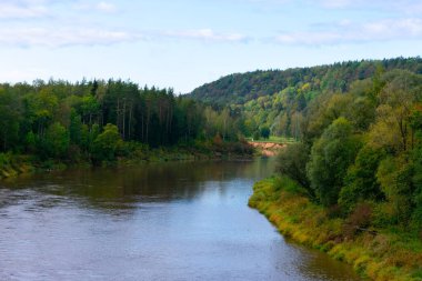 Derin nehir ve Avrupa 'nın karışık ormanlarının resimli manzarası. Kıyılarda bir sürü ağaç var.