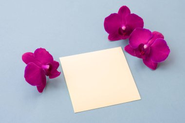 Mavi arka planda parlak pembe orkide çiçekleri olan kare defter kağıdı. Botanik, tropikal çiçeklerle süslenir.