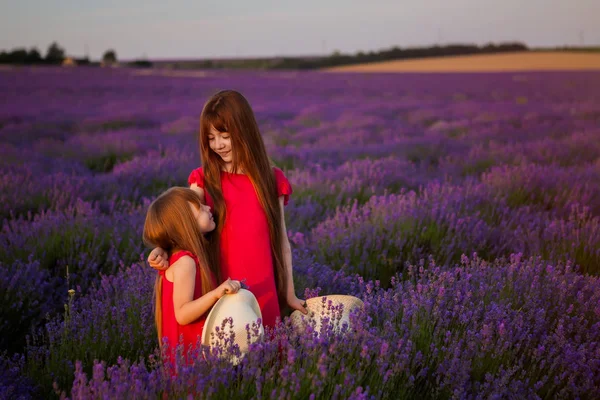 native sisters embrace in a lavender field. a happy family