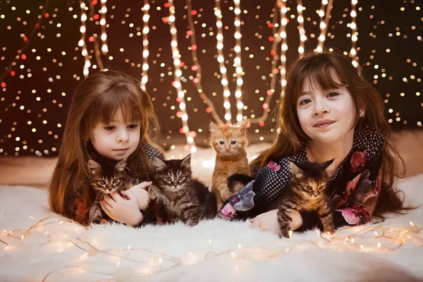 Merry Christmas. New Year\'s gatherings at the Christmas lights of two sisters with kittens. Family values.