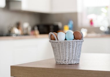 Bahar ve Paskalya tatil kavramı. Paskalya yumurta boyalı mavi ve beyaz, pastel renk arka plan. Beyaz izole.
