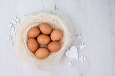 Bahar ve Paskalya tatil kavramı. Paskalya yumurta boyalı mavi ve beyaz, pastel renk arka plan. Beyaz izole.