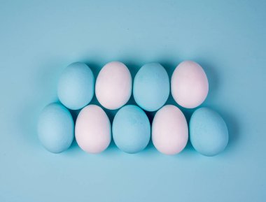 Bahar ve Paskalya tatil kavramı. Paskalya yumurta boyalı mavi ve beyaz, pastel renk arka plan. Beyaz izole.